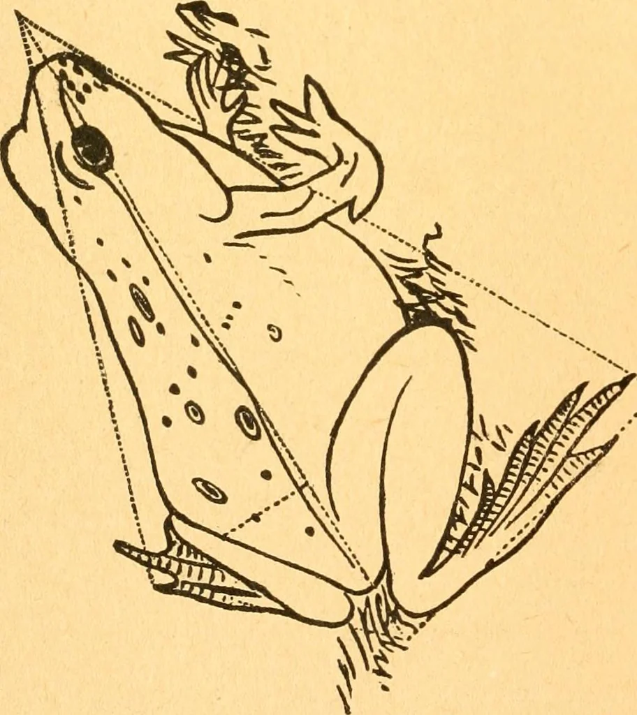 An illustration from The kindergarten;, 1891, leaf 293