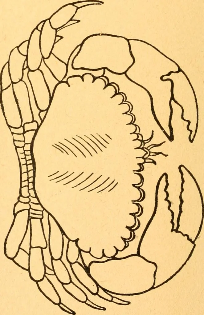 An illustration from The kindergarten;, 1891, leaf 293