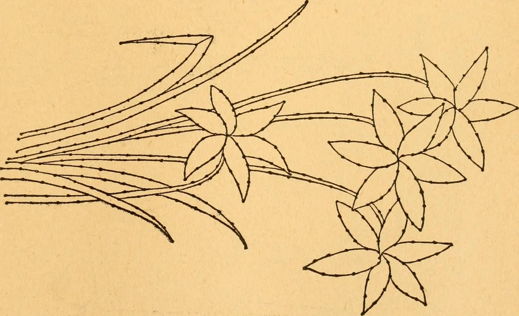An illustration from The kindergarten;, 1891, leaf 294