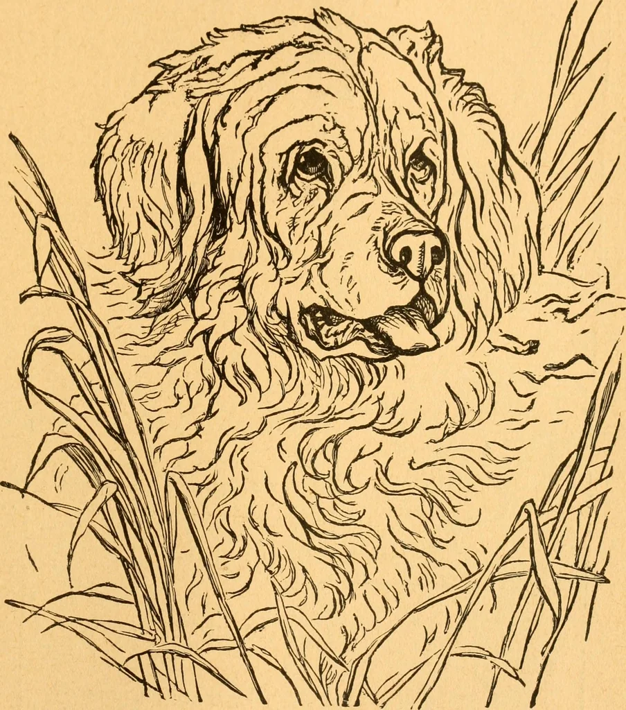 An illustration from The kindergarten;, 1891, leaf 298