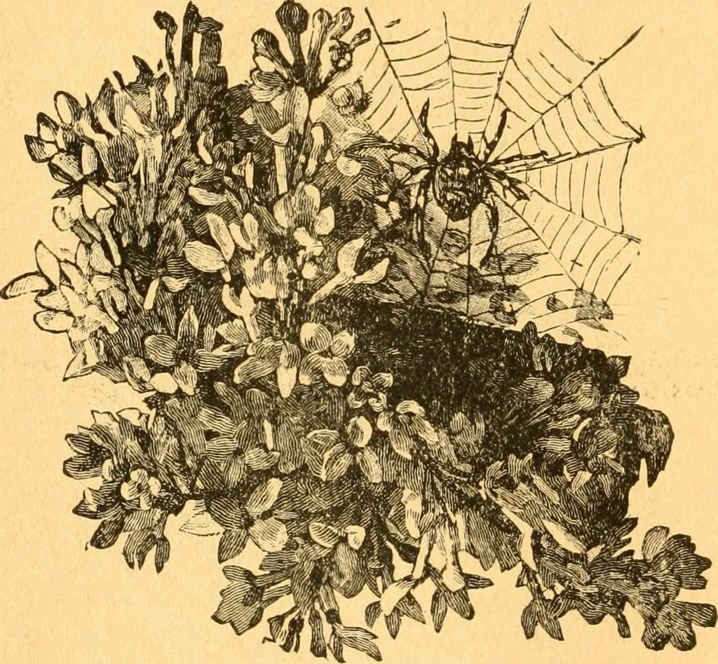 An illustration from The kindergarten;, 1891, leaf 305