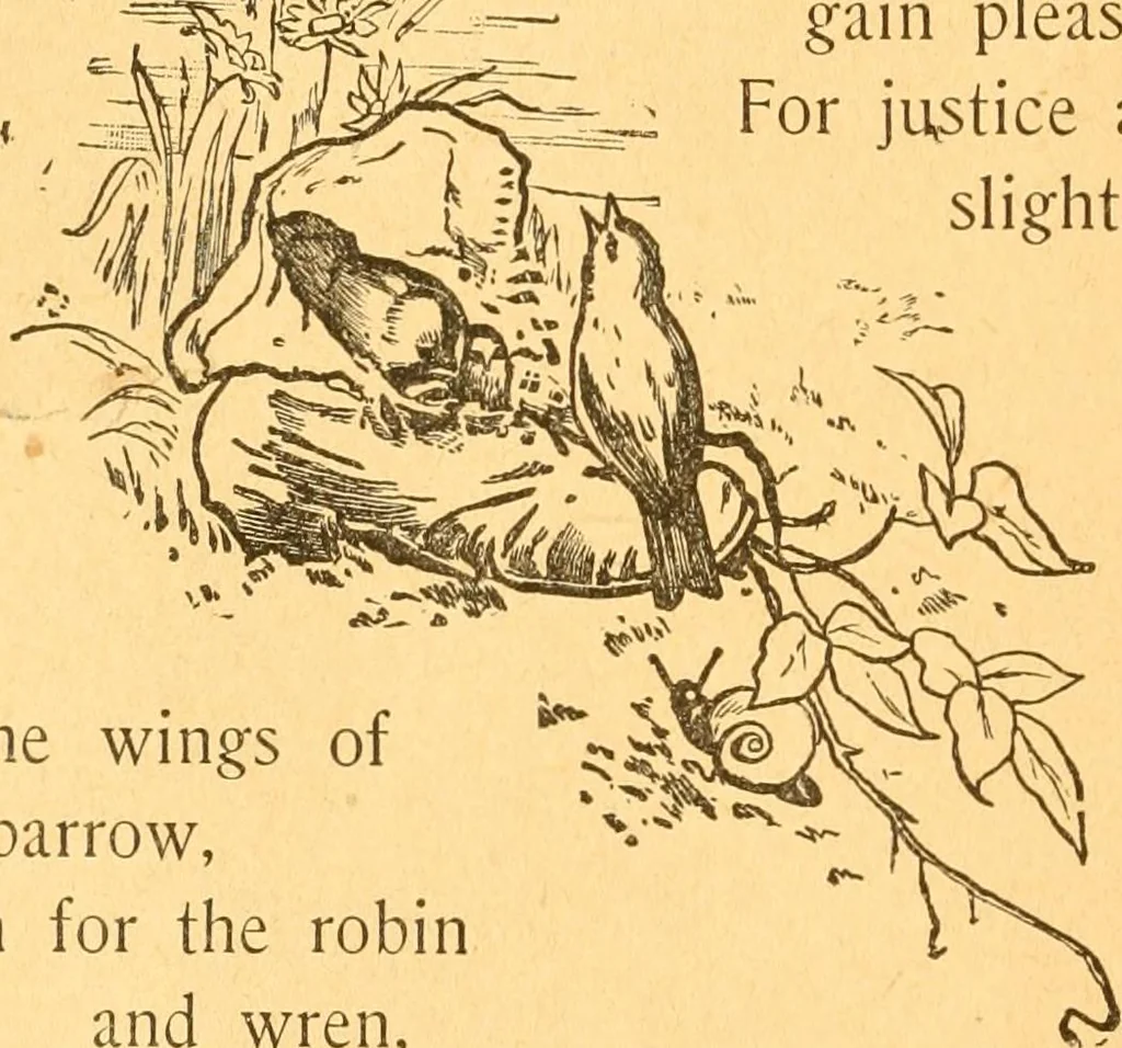 An illustration from The kindergarten;, 1891, leaf 7