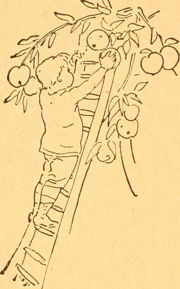 An illustration from The kindergarten;, 1891, leaf 73