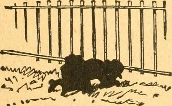 An illustration from The kindergarten;, 1891, leaf 89