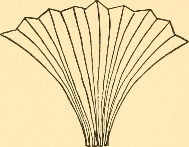 An illustration from Kindergarten at home; a kindergarten course for the individual child at home, 1911, leaf 101