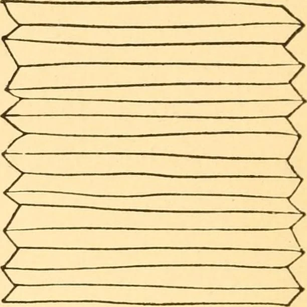 An illustration from Kindergarten at home; a kindergarten course for the individual child at home, 1911, leaf 101