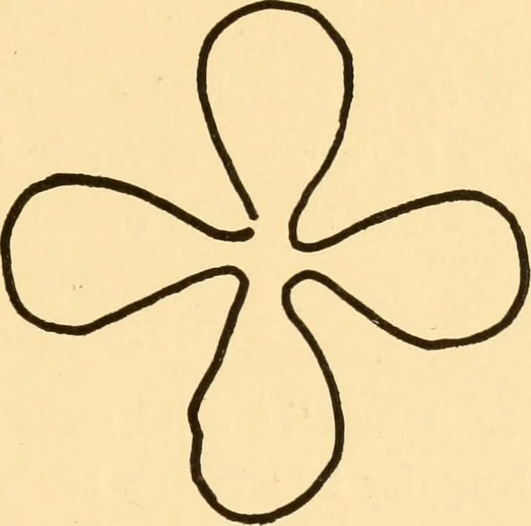An illustration from Kindergarten at home; a kindergarten course for the individual child at home, 1911, leaf 112