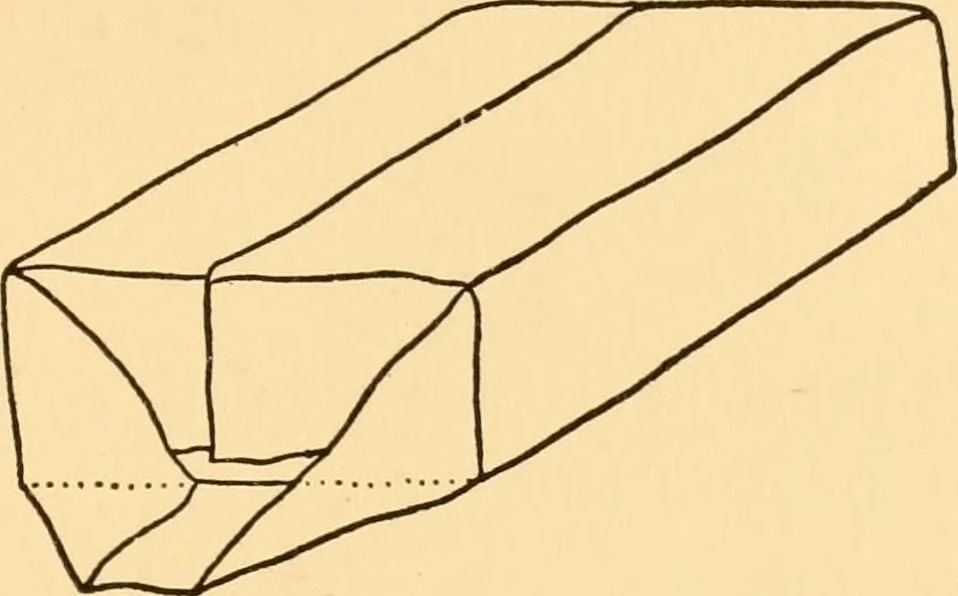 An illustration from Kindergarten at home; a kindergarten course for the individual child at home, 1911, leaf 132