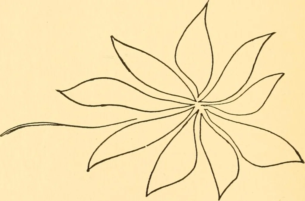 An illustration from Kindergarten at home; a kindergarten course for the individual child at home, 1911, leaf 133