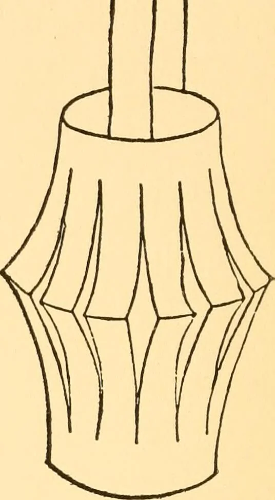 An illustration from Kindergarten at home; a kindergarten course for the individual child at home, 1911, leaf 135