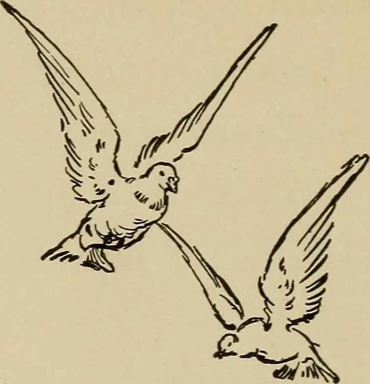An illustration from The kindergarten in the home; a book for parents and for all interested in child-training, 1909, leaf 143