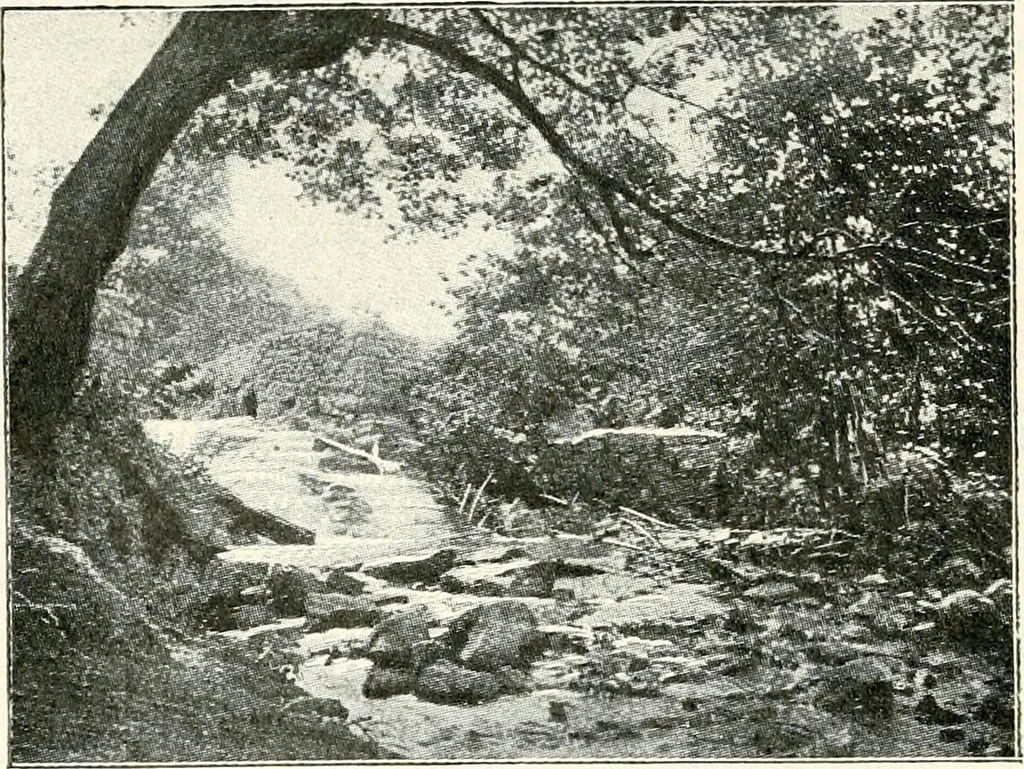 An illustration from The Kindergarten journal, 1910, leaf 17