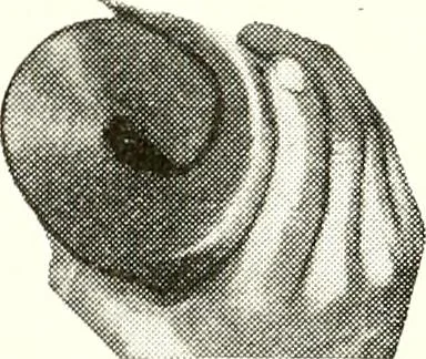 An illustration from The Kindergarten journal, 1911, leaf 48