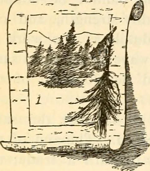 An illustration from The Kindergarten magazine, 1891, leaf 279
