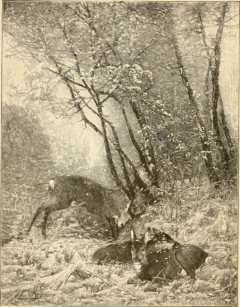An illustration from The Kindergarten magazine, 1891, leaf 295