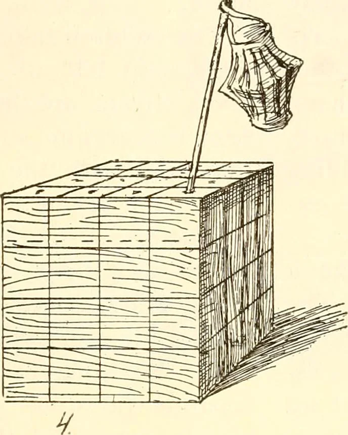 An illustration from The Kindergarten magazine, 1891, leaf 312