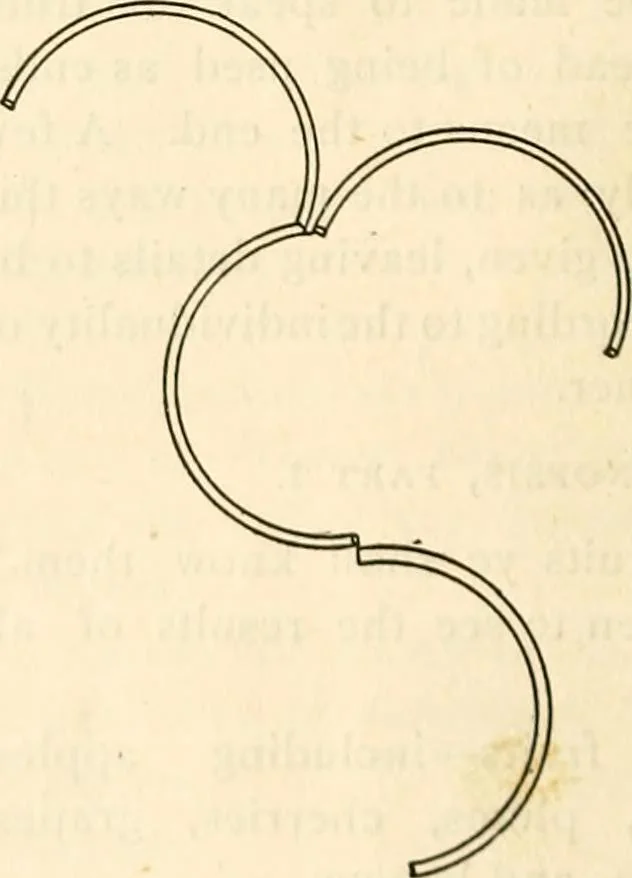 An illustration from The Kindergarten magazine, 1891, leaf 37
