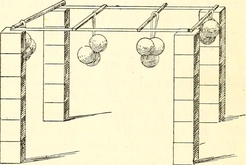 An illustration from The Kindergarten magazine, 1891, leaf 38