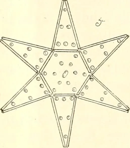 An illustration from The Kindergarten magazine, 1891, leaf 382