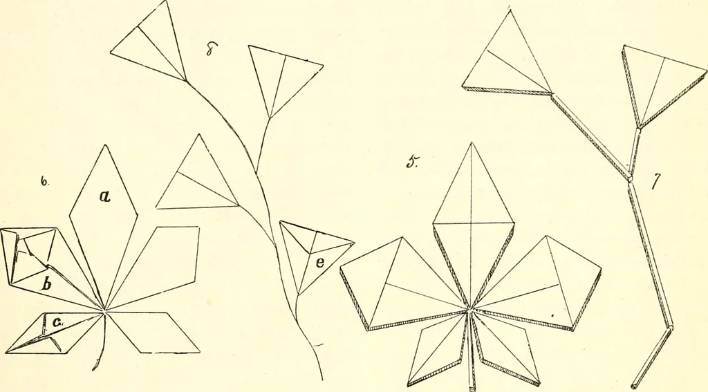An illustration from The Kindergarten magazine, 1891, leaf 40