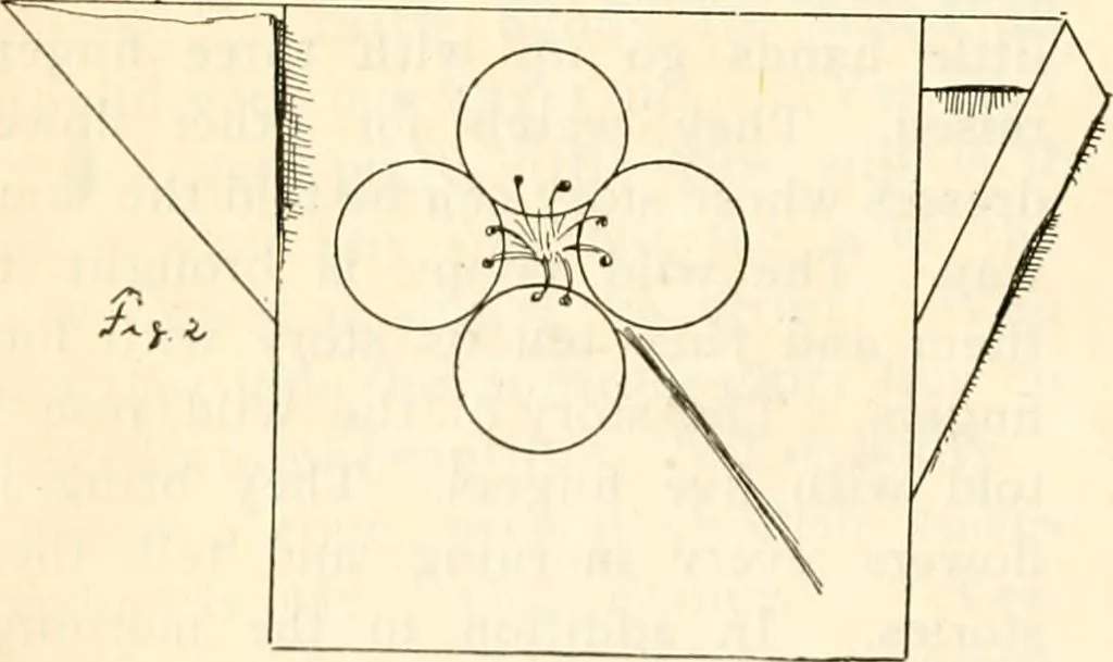 An illustration from The Kindergarten magazine, 1891, leaf 443