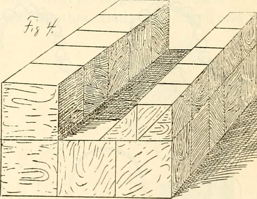 An illustration from The Kindergarten magazine, 1891, leaf 509