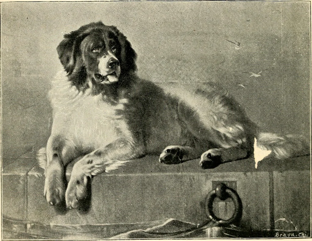 An illustration from The Kindergarten magazine, 1891, leaf 537