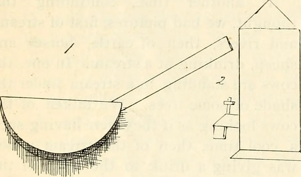 An illustration from The Kindergarten magazine, 1891, leaf 559