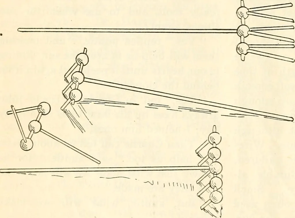 An illustration from The Kindergarten magazine, 1891, leaf 579