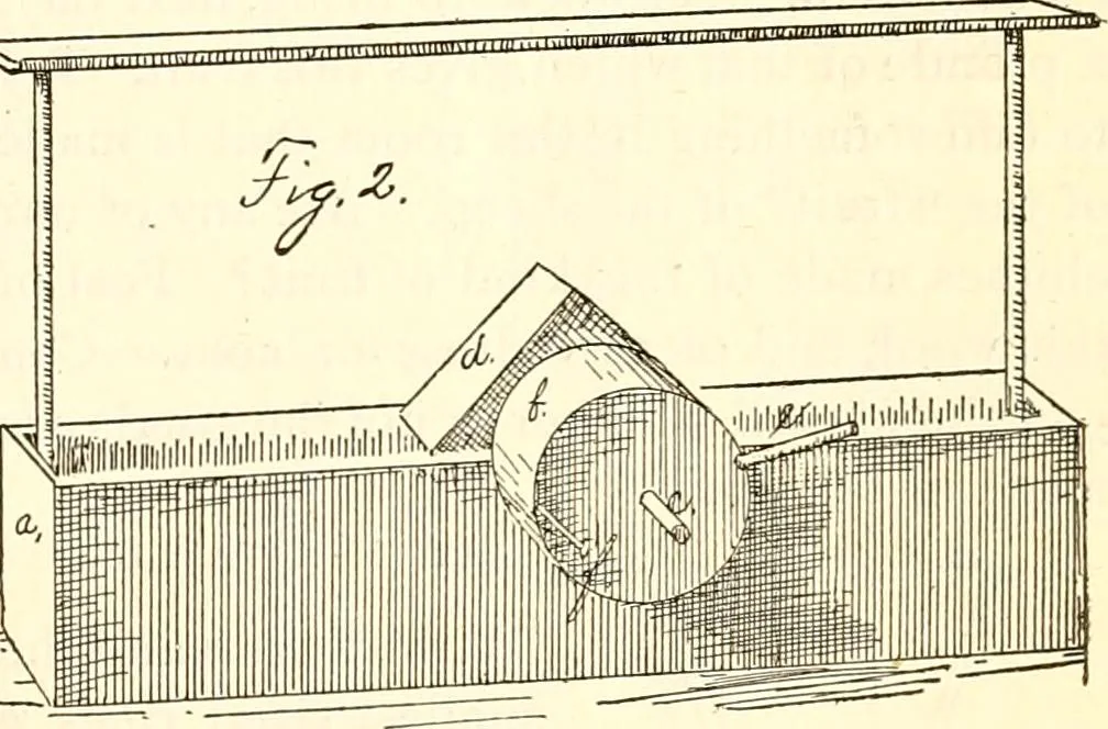 An illustration from The Kindergarten magazine, 1891, leaf 68
