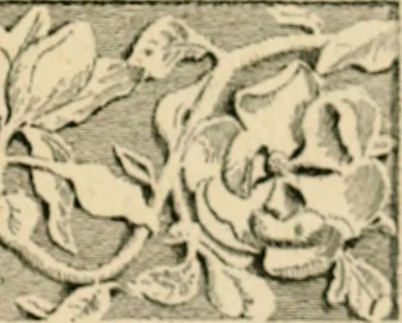 An illustration from The Kindergarten magazine, 1891, leaf 108