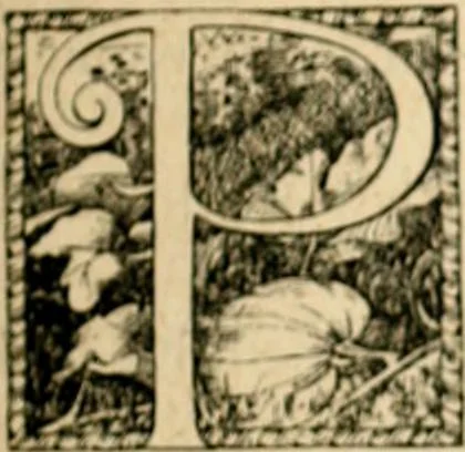 An illustration from The Kindergarten magazine, 1891, leaf 176