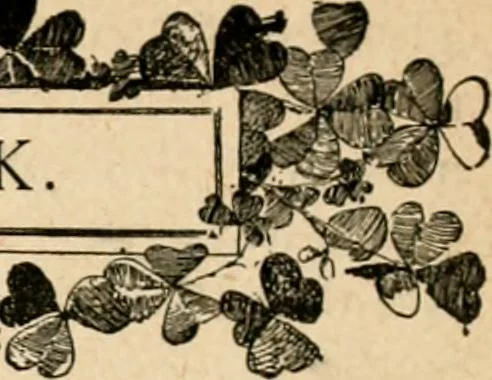 An illustration from The Kindergarten magazine, 1891, leaf 353