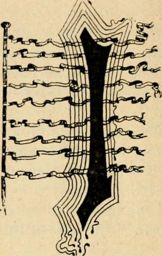 An illustration from The Kindergarten magazine, 1891, leaf 427