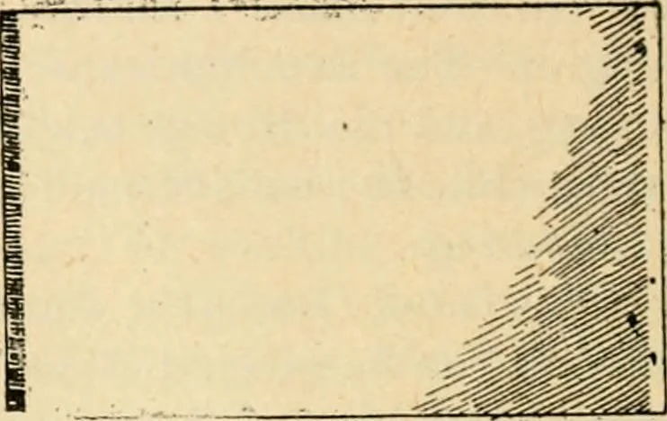 An illustration from The Kindergarten magazine, 1891, leaf 539