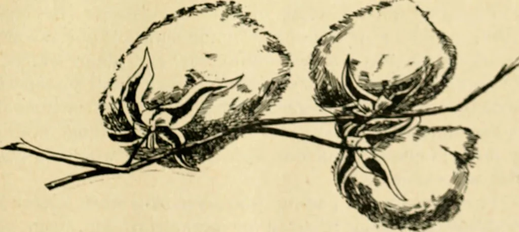 An illustration from The Kindergarten magazine, 1891, leaf 688