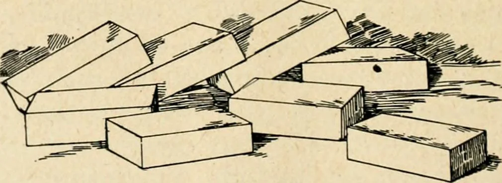 An illustration from The Kindergarten magazine, 1891, leaf 705