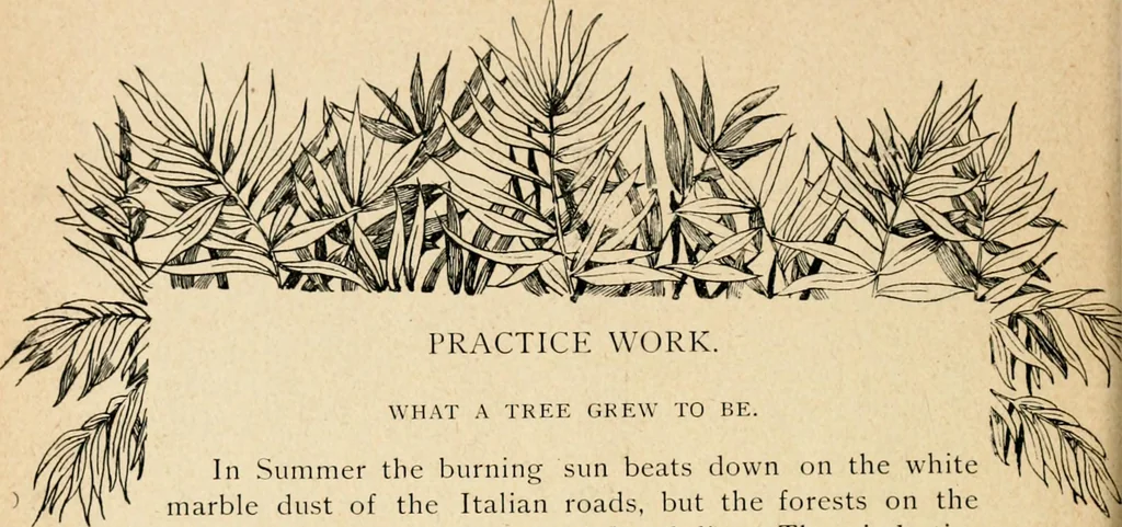 An illustration from The Kindergarten magazine, 1891, leaf 775