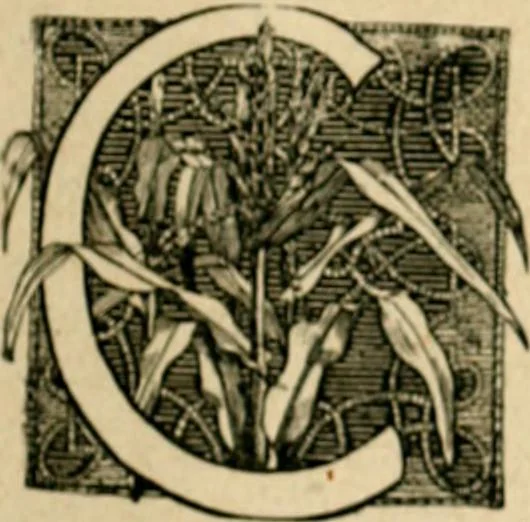 An illustration from The Kindergarten magazine, 1891, leaf 96