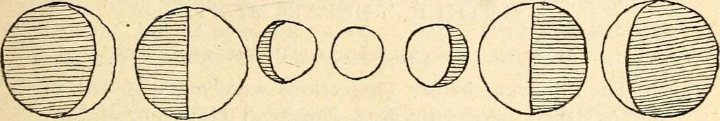 An illustration from The Kindergarten magazine, 1891, leaf 248