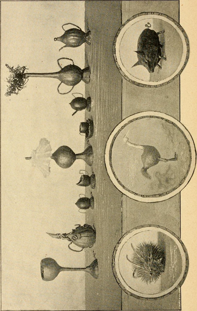 An illustration from The Kindergarten magazine, 1891, leaf 409