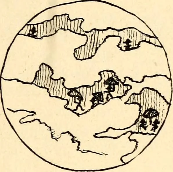 An illustration from The Kindergarten magazine, 1891, leaf 426