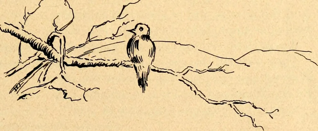 An illustration from The Kindergarten magazine, 1891, leaf 498