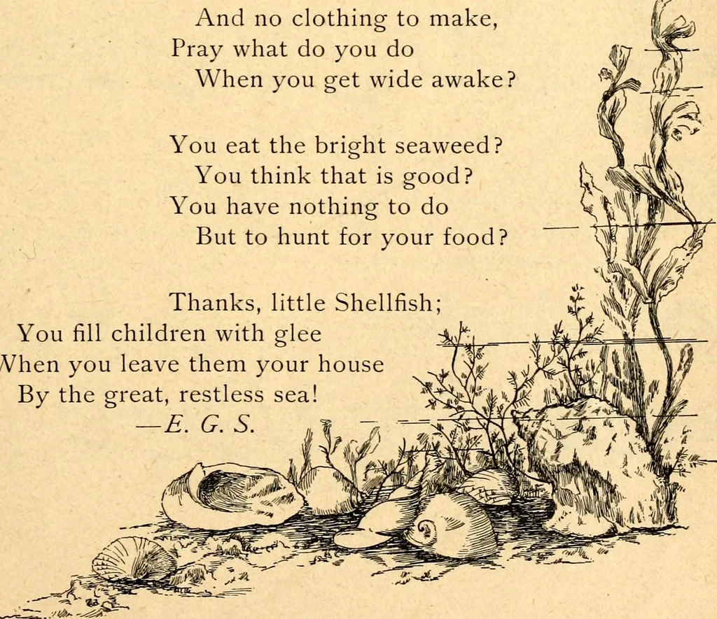An illustration from The Kindergarten magazine, 1891, leaf 64