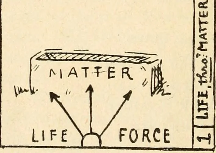 An illustration from The Kindergarten magazine, 1891, leaf 649