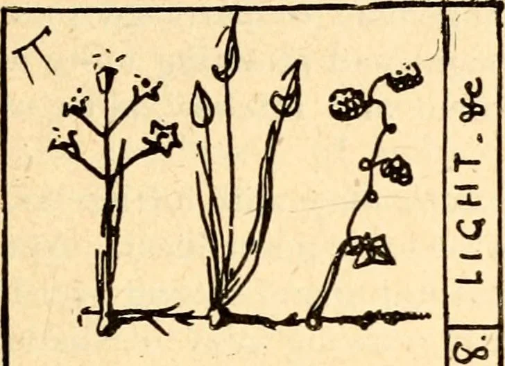 An illustration from The Kindergarten magazine, 1891, leaf 650
