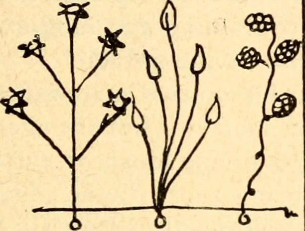 An illustration from The Kindergarten magazine, 1891, leaf 650