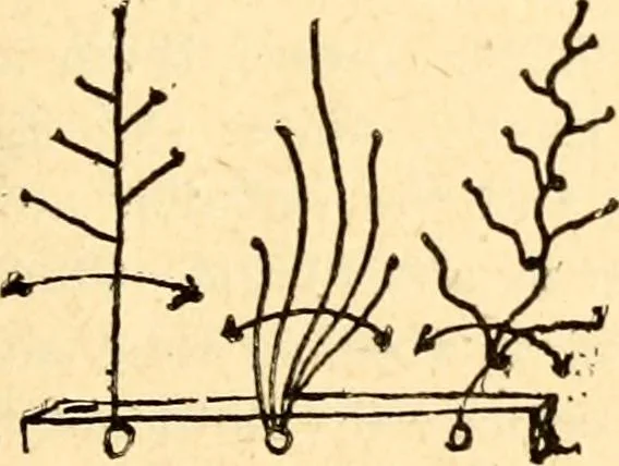 An illustration from The Kindergarten magazine, 1891, leaf 650