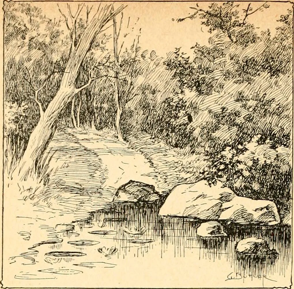 An illustration from The Kindergarten magazine, 1891, leaf 755
