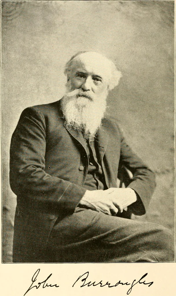 An illustration from The Kindergarten magazine, 1891, leaf 757